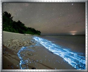 Magical Beach